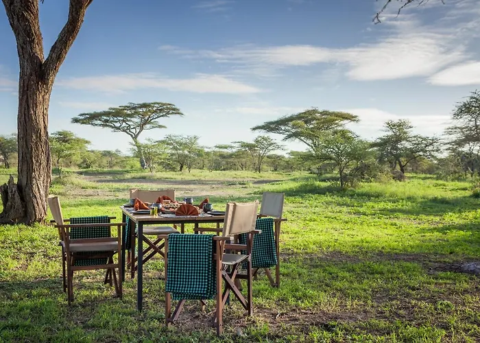 Gnu Ndutu Camp