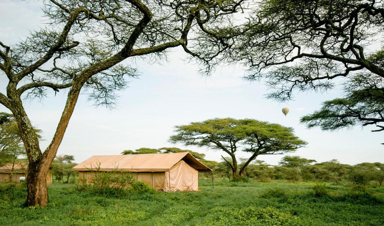 Gnu Ndutu Camp Lodge