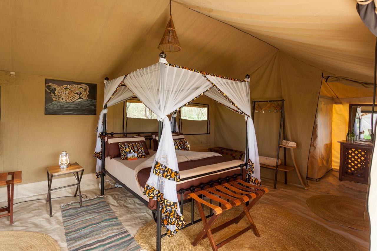 Gnu Ndutu Camp Lodge