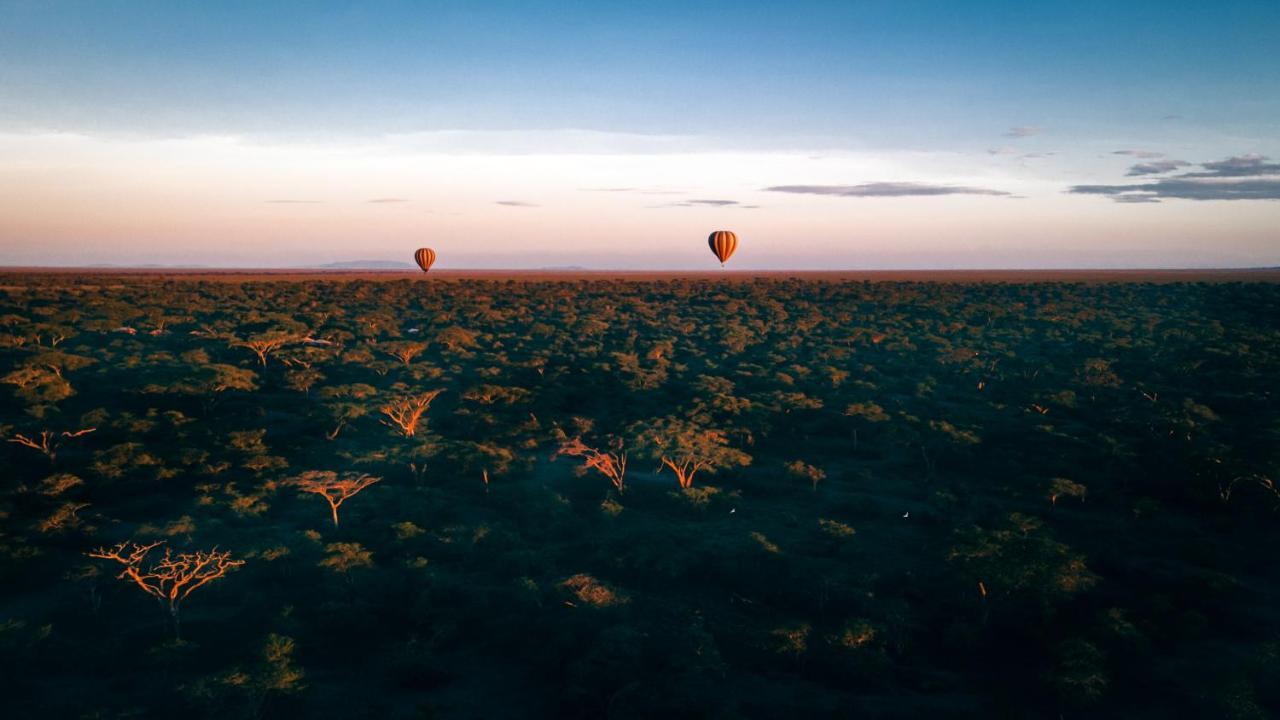 Gnu Ndutu Camp