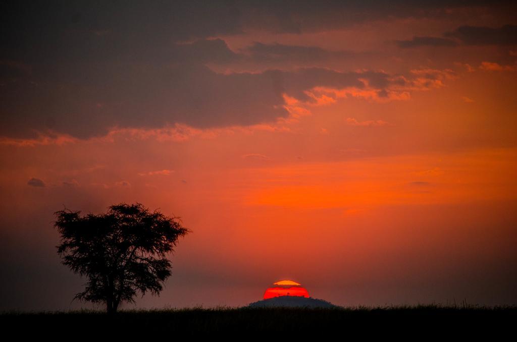 Gnu Ndutu Camp Lodge