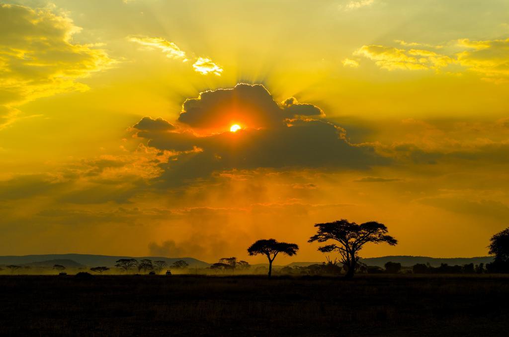 Lodge Gnu Ndutu Camp