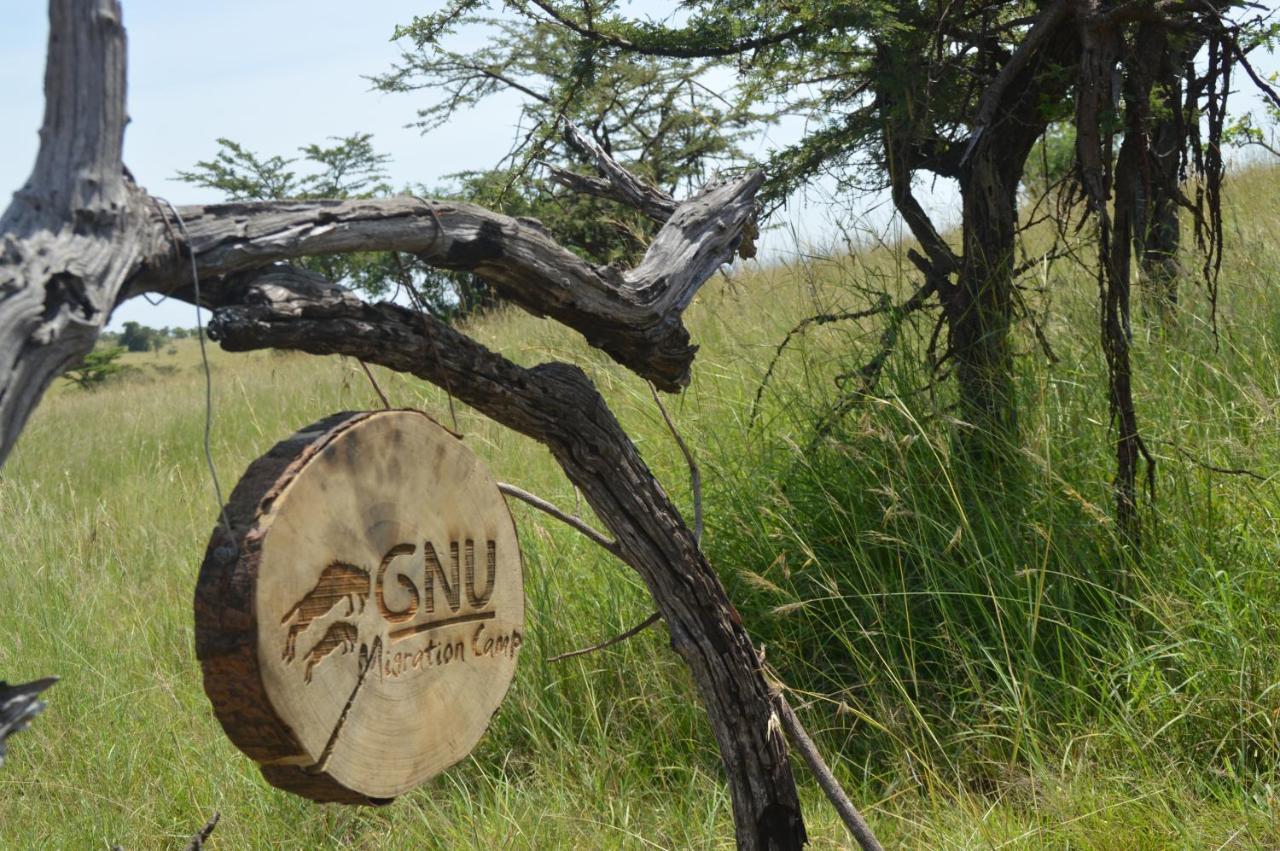 Lodge Gnu Ndutu Camp